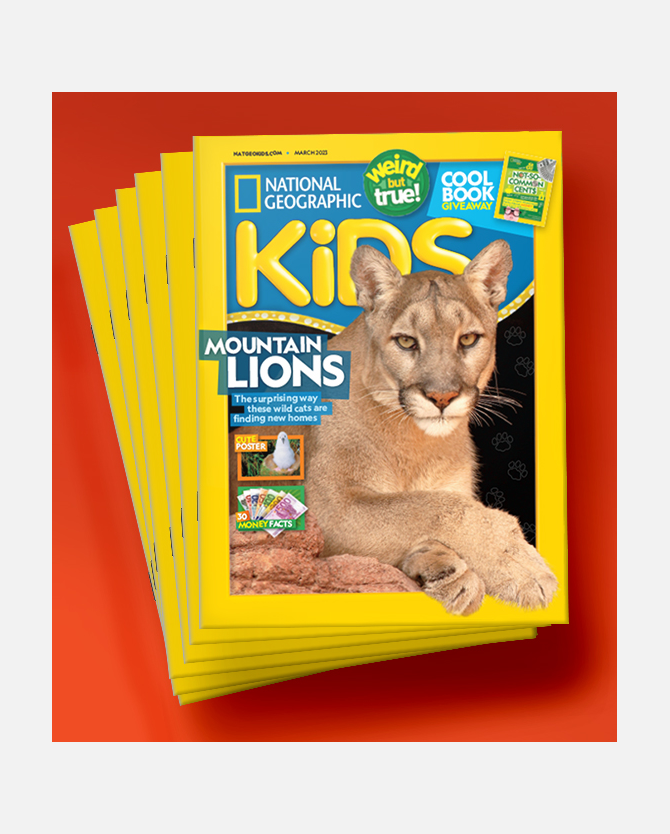 Nat Geo Kids Magazine 1-Year Subscription