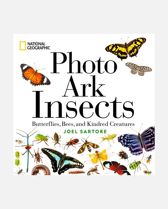 National Geographic Book: Photo Ark Insects