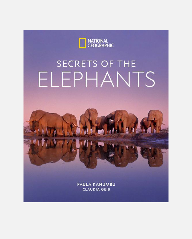 National Geographic: Secrets of the Elephants (Book)