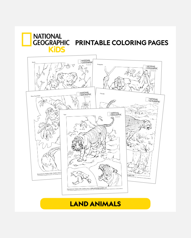 Nat Geo Kids Land Animal Printable Coloring Sheets